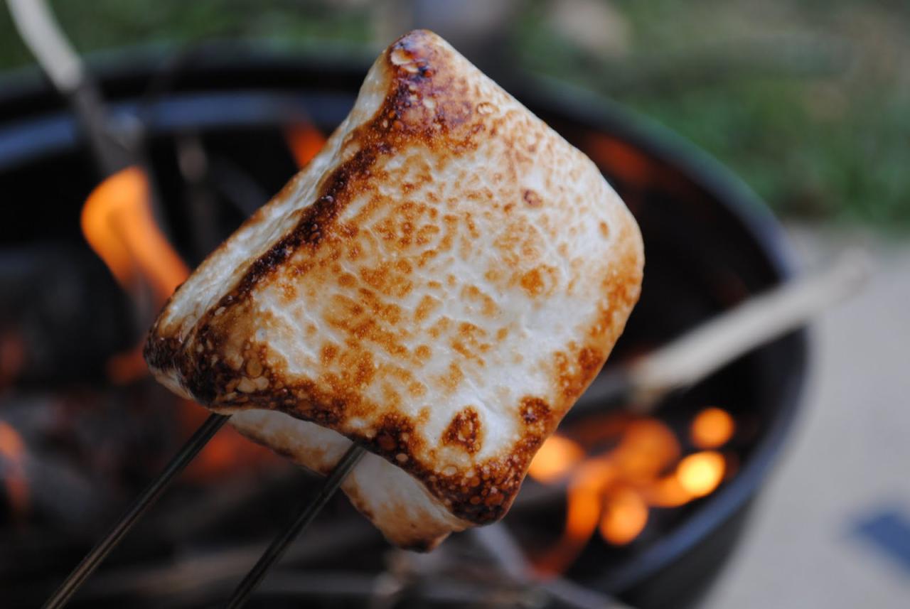 Texture of a roasted marshmallow